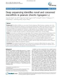 báo cáo khoa học: Deep sequencing identifies novel and conserved microRNAs in peanuts (Arachis hypogaea L.)