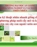 Nghiên cứu kỹ thuật nhân nhanh giống chuối Laba bằng phương pháp nuôi cấy mô và kỹ thuật chăm sóc cây con ngoài vườn ươm