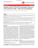 Báo cáo y học: Analysis of the 5'UTR of HCV genotype 3 grown in vitro in human B cells, T cells, and macrophages