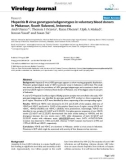 Báo cáo y học: Hepatitis B virus genotypes/subgenotypes in voluntary blood donors in Makassar, South Sulawesi, Indonesia