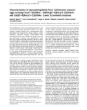 Báo cáo khoa học: Characterization of glycosphingolipids fromSchistosoma mansoni eggs carrying Fuc(a1±3)GalNAc-, GalNAc(b1±4)[Fuc(a1±3)]GlcNAc-and Gal(b1±4)[Fuc(a1±3)]GlcNAc- (Lewis X) terminal structures