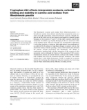 Báo cáo khoa học: Tryptophan 243 affects interprotein contacts, cofactor binding and stability in D-amino acid oxidase from Rhodotorula gracilis