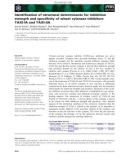 Báo cáo khoa học: Identiﬁcation of structural determinants for inhibition strength and speciﬁcity of wheat xylanase inhibitors TAXI-IA and TAXI-IIA