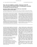 Báo cáo khoa học: H2O2, but not menadione, provokes a decrease in the ATP and an increase in the inosine levels in Saccharomyces cerevisiae An experimental and theoretical approach