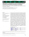 Báo cáo khoa học: Degradation of tropoelastin by matrix metalloproteinases – cleavage site speciﬁcities and release of matrikines