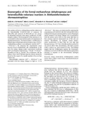 Báo cáo khoa học: Bioenergetics of the formyl-methanofuran dehydrogenase and heterodisulﬁde reductase reactions in Methanothermobacter thermautotrophicus