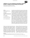 Báo cáo khoa học: Inhibition of an iron-responsive element/iron regulatory protein-1 complex by ATP binding and hydrolysis