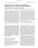 Báo cáo khóa học: Differing involvement of sulfoquinovosyl diacylglycerol in photosystem II in two species of unicellular cyanobacteria