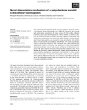 Báo cáo khoa học: Novel dissociation mechanism of a polychaetous annelid extracellular haemoglobin