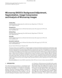 Báo cáo hóa học: Microarray BASICA: Background Adjustment, Segmentation, Image Compression and Analysis of Microarray Images