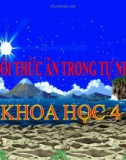 Bài giảng Chuổi thức ăn trong tự nhiên - Khoa học 4 - GV. N.T.Sỹ