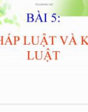 Bài giảng GDCD 8 bài 5: Pháp luật và kỉ luật