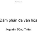 Bài giảng Đàm phán đa văn hóa - Nguyễn Đông Triều