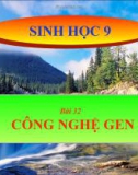 Bài giảng Sinh học 9 bài 32: Công nghệ gen