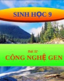 Bài giảng Sinh học lớp 9 bài 32: Công nghệ gen