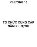 Bài giảng Tổ chức sản xuất cơ khí: Chương 16 - TS. Nguyễn Văn Tình