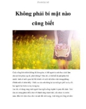 Không phải bí mật nào cũng biết