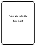 Ngắm khu vườn độc dược ở Anh