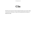 Côn