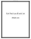 Ếch Thái Lan dễ nuôi, lợi nhuận cao