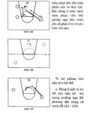 Huấn luyện bóng rổ hiện đại part 6