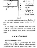 Tìm hiểu Bóng đá thiếu niên: Phần 2