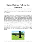 Ngắm điền trang Fioli của San Francisco