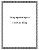 Động Ngườm Ngao Tỉnh Cao Bằng