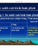 Cách đàm phán trong kinh doanh hiệu quả phần 7