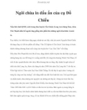 Ngôi chùa in dấu ấn của cụ Đồ Chiểu