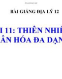 Bài giảng Địa lý 12 bài 11: Thiên nhiên phân hóa đa dạng