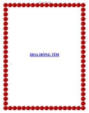 HOA HỒNG TÍM