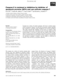 Báo cáo khoa học: Caspase-2 is resistant to inhibition by inhibitor of apoptosis proteins (IAPs) and can activate caspase-7