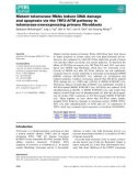 Báo cáo khoa hoc : Mutant telomerase RNAs induce DNA damage and apoptosis via the TRF2-ATM pathway in telomerase-overexpressing primary ﬁbroblasts