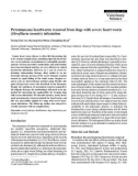 Báo cáo khoa học: Percutaneous heartworm removal from dogs with severe heart worm (Dirofilaria immitis) infestation