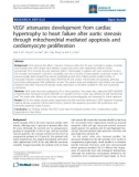 Báo cáo y học: VEGF attenuates development from cardiac hypertrophy to heart failure after aortic stenosis through mitochondrial mediated apoptosis and cardiomyocyte proliferation