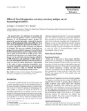 Báo cáo khoa học: Effect of Fasciola gigantica excretory secretory antigen on rat hematological indices