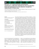 Báo cáo khoa học: Structure of a trypanosomatid mitochondrial cytochrome c with heme attached via only one thioether bond and implications for the substrate recognition requirements of heme lyase