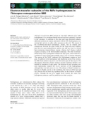 Báo cáo khoa học: Electron-transfer subunits of the NiFe hydrogenases in Thiocapsa roseopersicina BBS