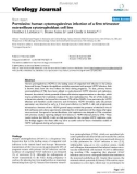 Báo cáo sinh học: Permissive human cytomegalovirus infection of a first trimester extravillous cytotrophoblast cell line