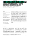 Báo cáo khoa học: Inactivating pentapeptide insertions in the ﬁssion yeast replication factor C subunit Rfc2 cluster near the ATP-binding site and arginine ﬁnger motif