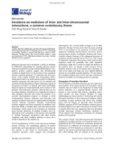 Báo cáo sinh học: Insulators as mediators of intra- and inter-chromosomal interactions: a common evolutionary theme