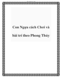 Con Ngựa cách Chơi và bài trí theo Phong Thủy