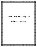 Biến căn hộ trung cấp thành... cao cấp