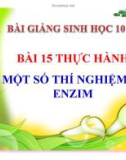 Bài giảng Sinh học 10 - Bài 15: Thực hành thí nghiệm về enzim