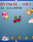 Bài giảng TNXH 1 bài 11: Gia đình