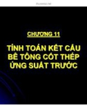 Thiết kế cầu bê tông cốt thép - Chương 11