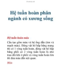 Hệ tuần hoàn phân ngành có xương sống