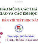 Bài giảng môn Sinh học lớp 12: Di truyền y học