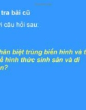 Bài giảng điện tử môn sinh học: trùng sốt rét